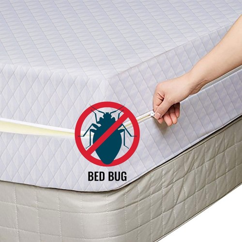 Zip quilted mattress - mattress, cover