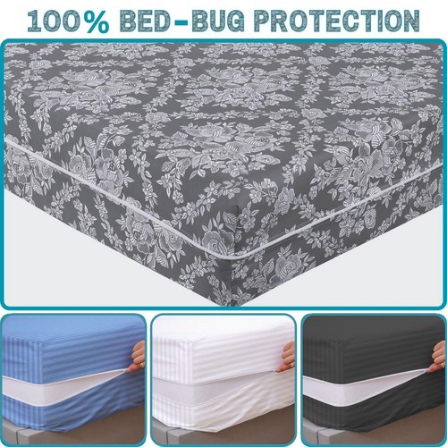 100 anti bed - bed, bug